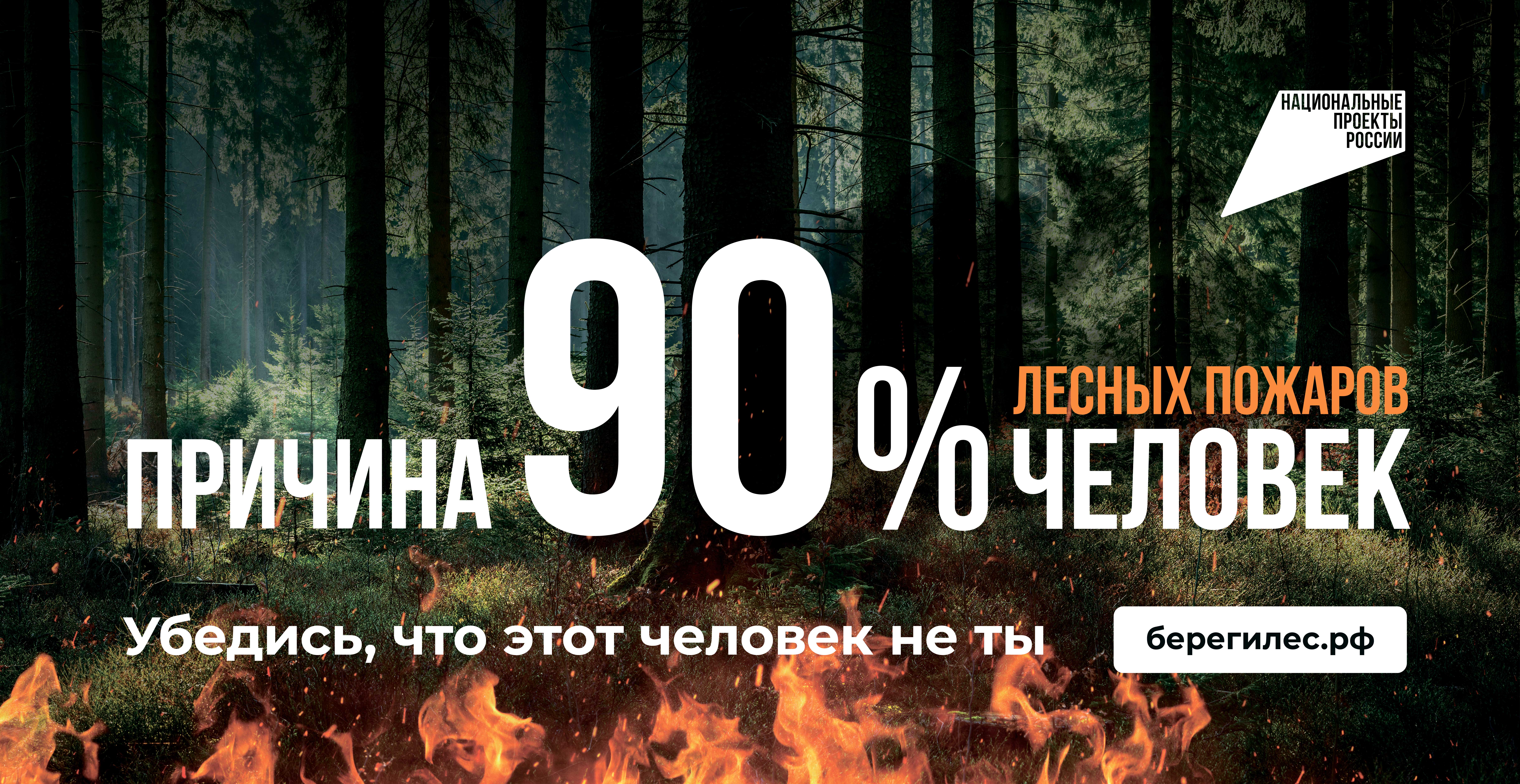 Сохраним лес от пожаров