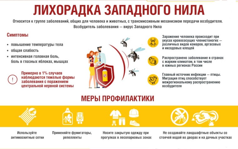 Защита от лихорадки Западного Нила: важная информация для людей, живущих с ВИЧ